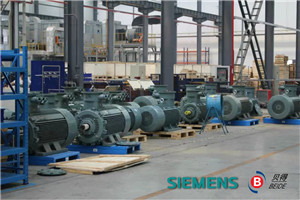 Siemens Motor (HV and LV Motors)
